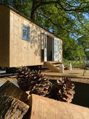 Coachroad Shepherds Huts Петвёт Экстерьер фото