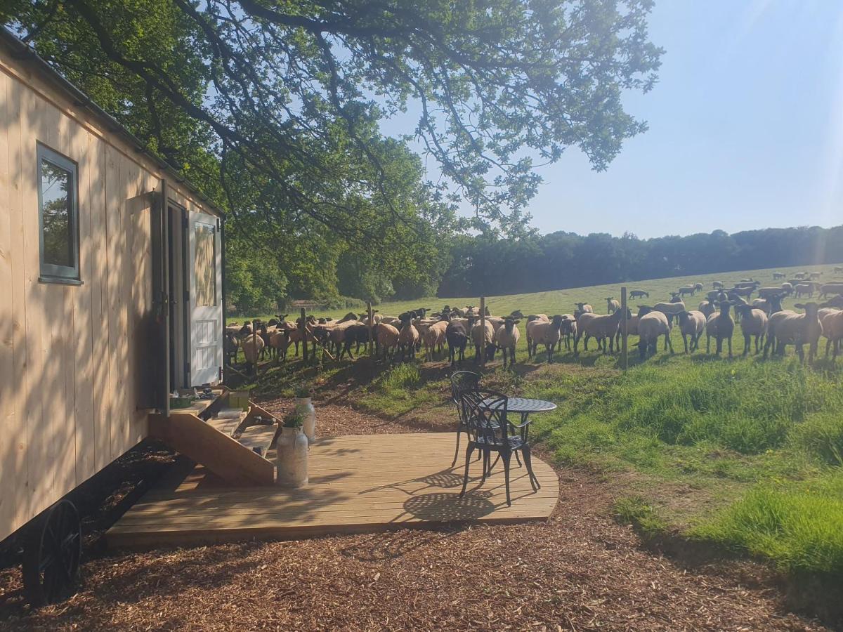 Coachroad Shepherds Huts Петвёт Экстерьер фото